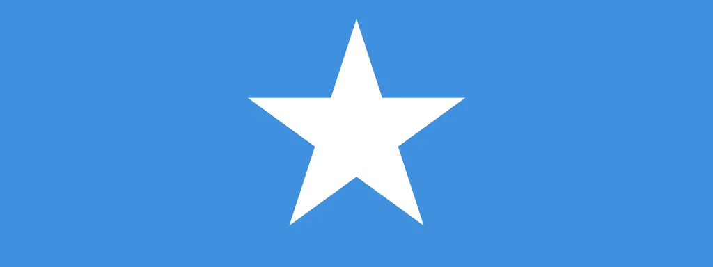 Airstrikes in Somalia Eliminate Al-Shabaab Commander, Disrupt Operations