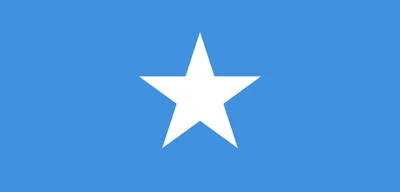 Airstrikes in Somalia Eliminate Al-Shabaab Commander, Disrupt Operations