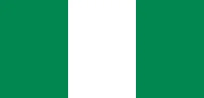 Unknown militants kill at least 11 security personnel in Nigeria ambush