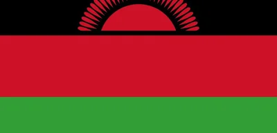 Peter Mutharika wins Malawi's presidential election with 56.8% of vote