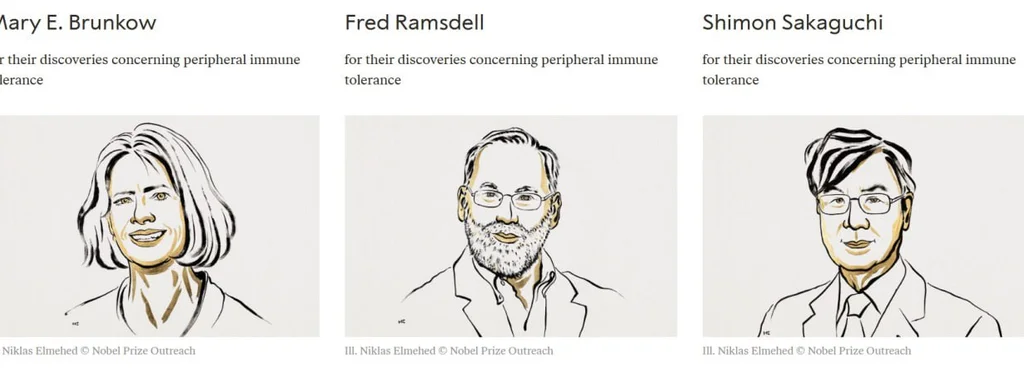 2025 Nobel Prize in Physiology awarded to three scientists for immune tolerance discoveries