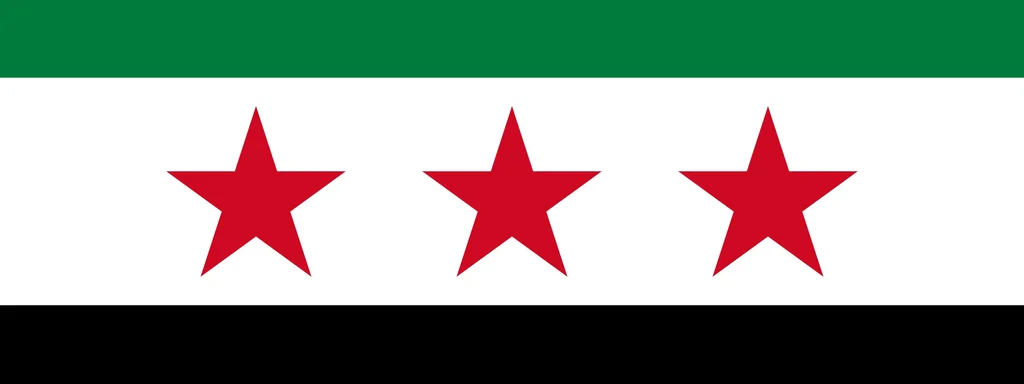 Syrian Interim Government blames SDF for clashes in Sheikh Maqsoud