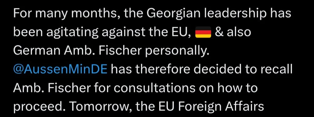 Germany recalls Ambassador Fischer for consultations on Georgia