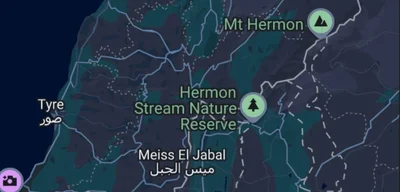 Israeli infantry briefly crosses Blue Line; unit retreats, no clashes reported