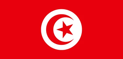 Tunisian court upholds prison sentences of 5 to 45 years for 40 opposition figures