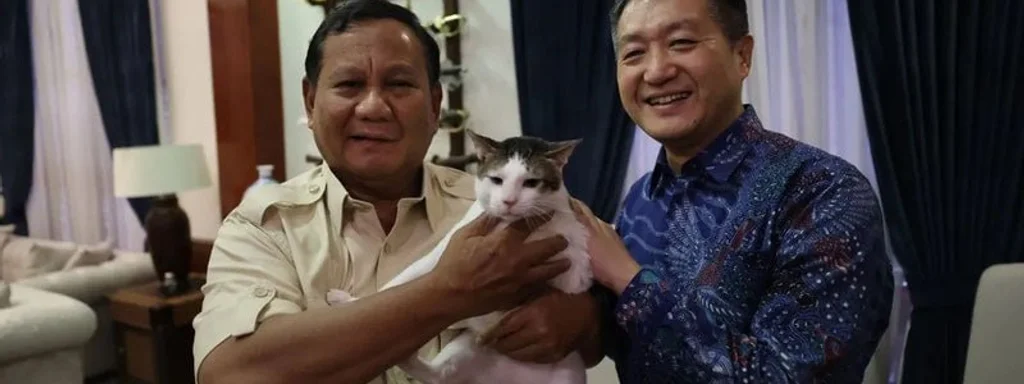 Indonesian president's cat receives state protection amid public attention