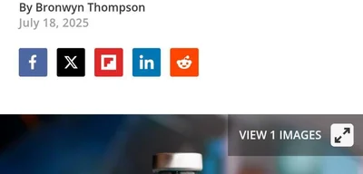 Florida scientists develop universal cancer vaccine showing promise in mice