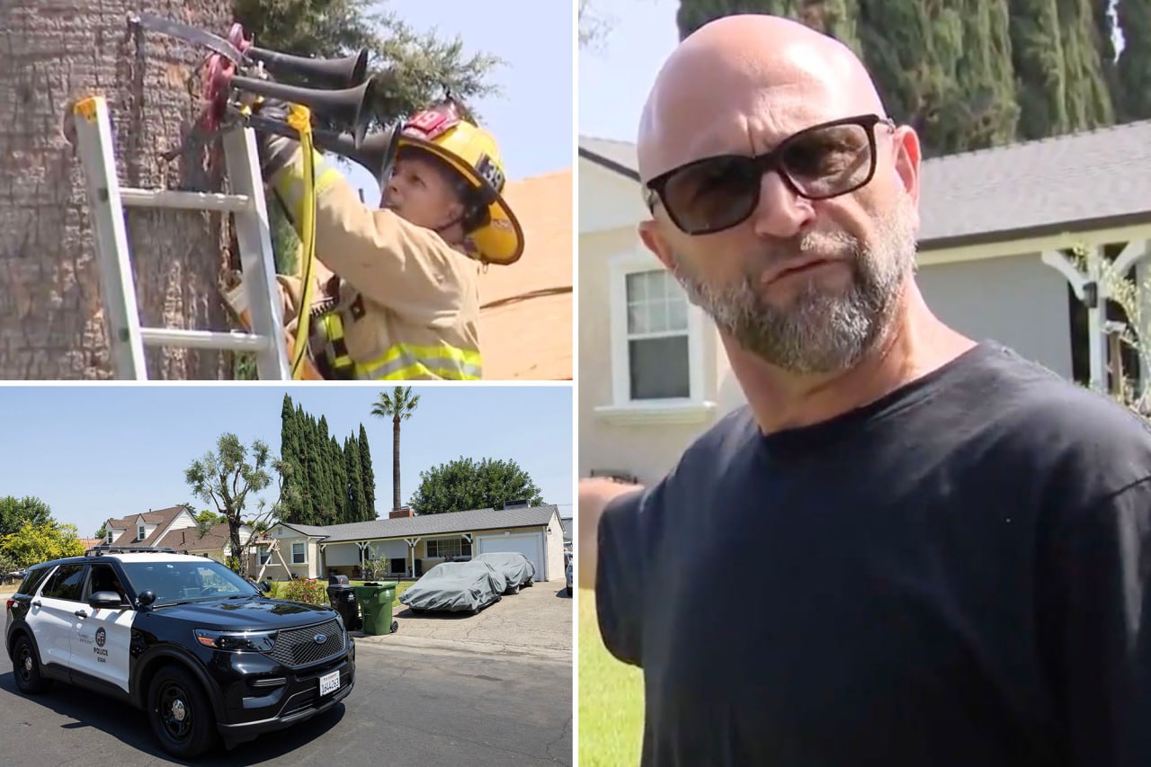 Van Nuys Man Arrested for Torturing Neighbors with 10 Train Horns, Claims Cry for Help