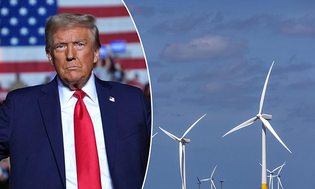 Trump Claims Solar Energy Is 'Scam of the Century,' Urges End to Wind Farms