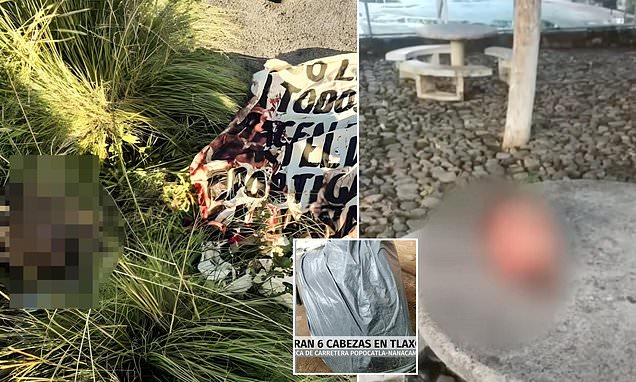 Breaking: Six Severed Heads Discovered on Puebla-Tlaxcala Highway, Cartel Violence Escalates