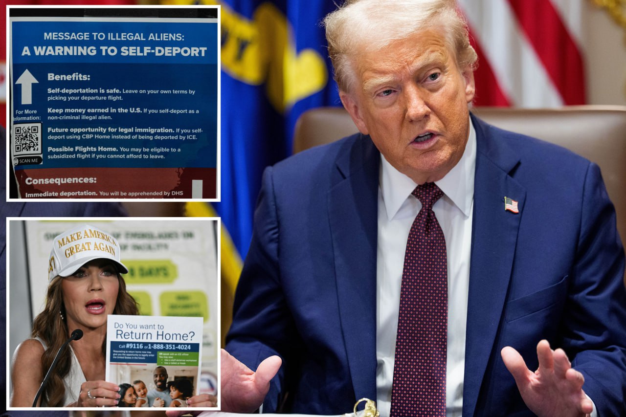 Government Fines Illegal Immigrants $6.1 Billion for Non-Compliance