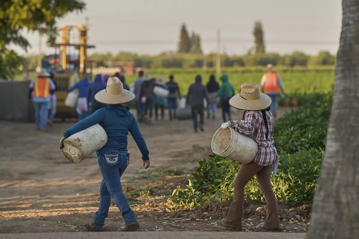 1.2 Million Immigrant Workers Disappear from U.S. Labor Force