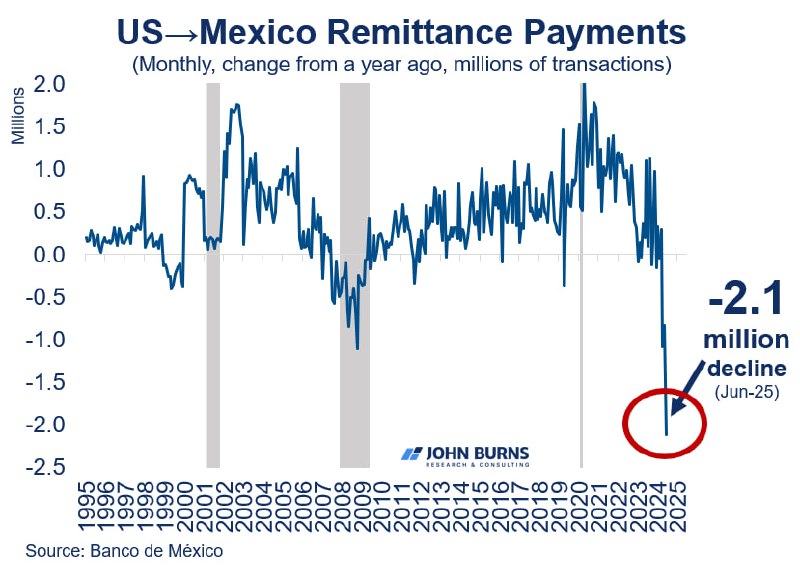 US Immigrants Exit Workforce in Record Numbers, Sparking $2B Decline in Remittances