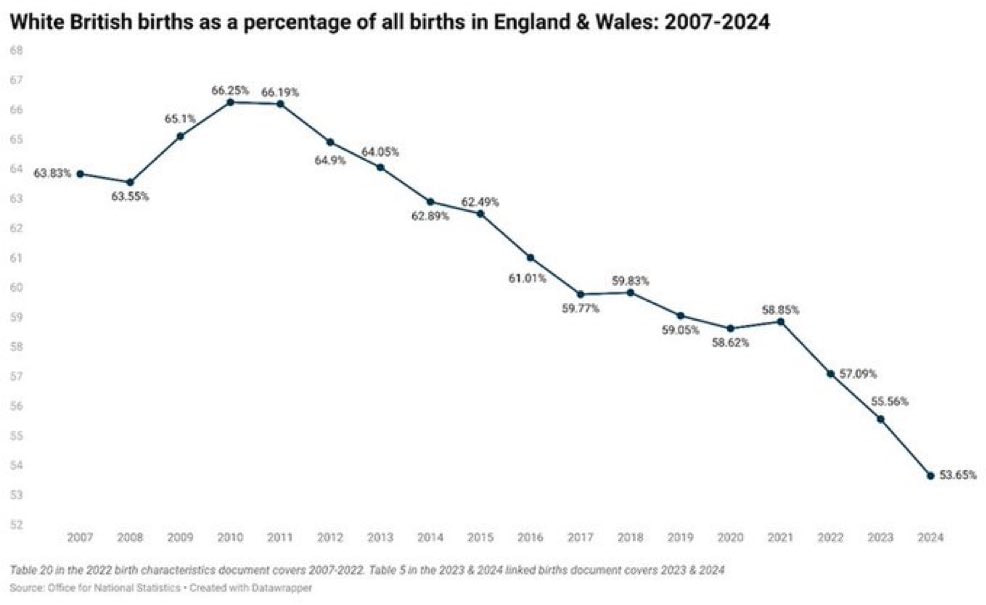 Wolf advocates for remigration due to concerns over ethnic majority in England