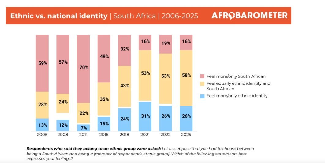 Afrobarometer: Ethnic identity among South Africans rises, national identity drops
