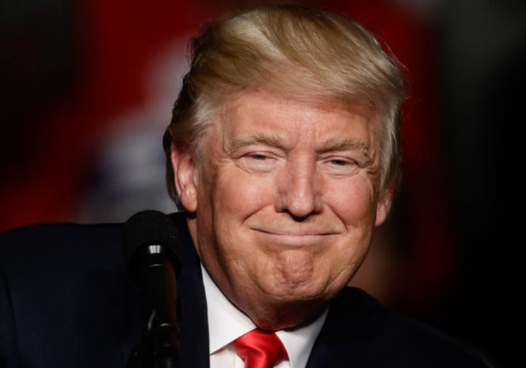 Trump Celebrates One Peace Deal Each Month, Shaping Global Stability Efforts