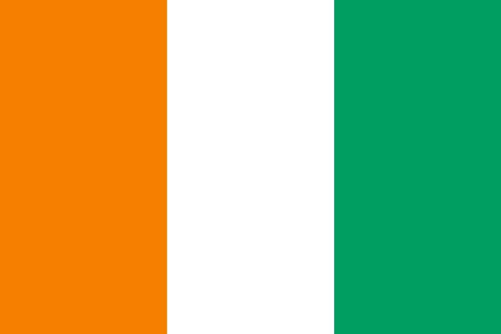 Four Ivorian Soldiers Killed in Attack Near Burkina Faso Border