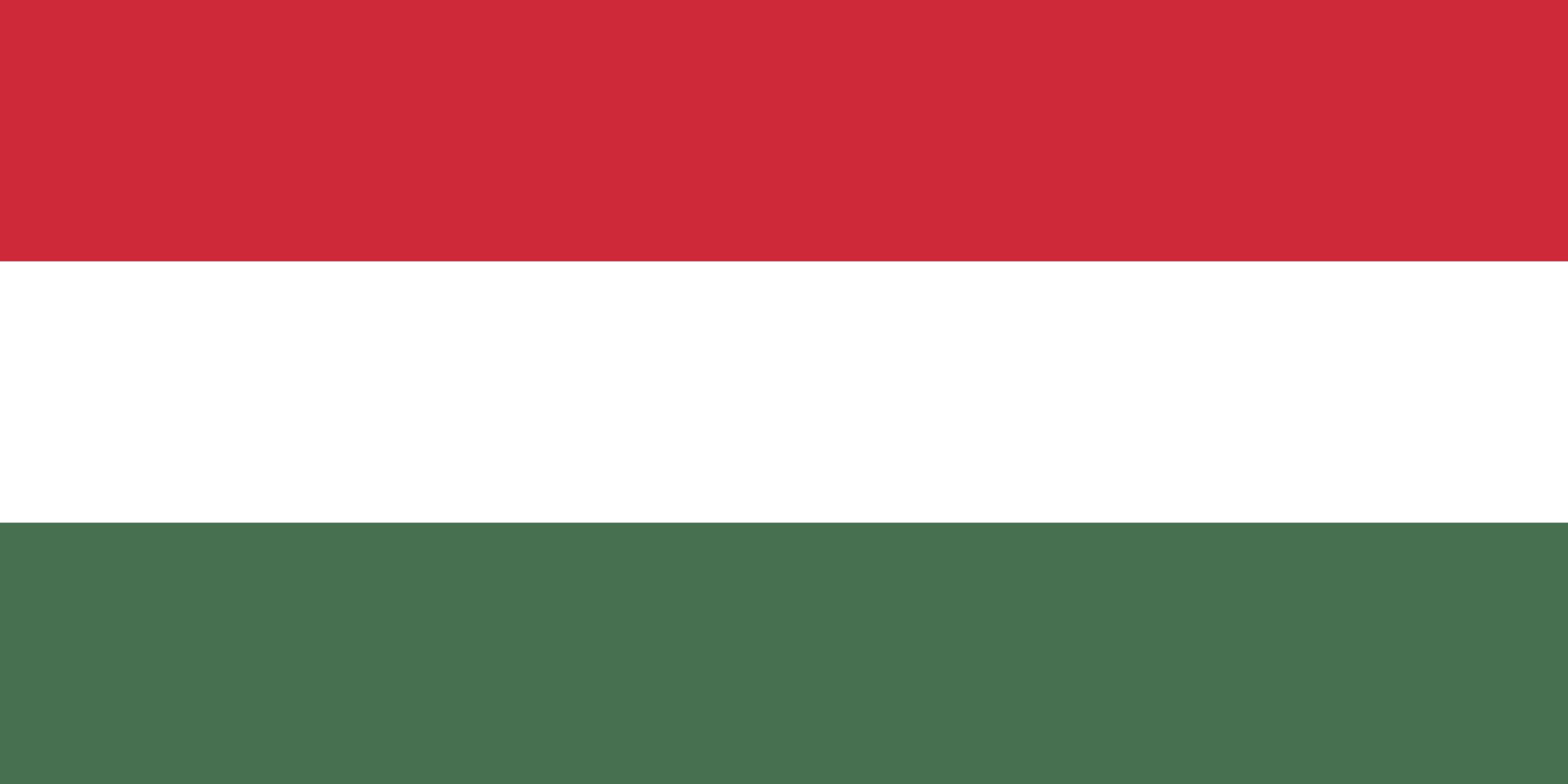 Hungary to declare Antifa a terrorist organization