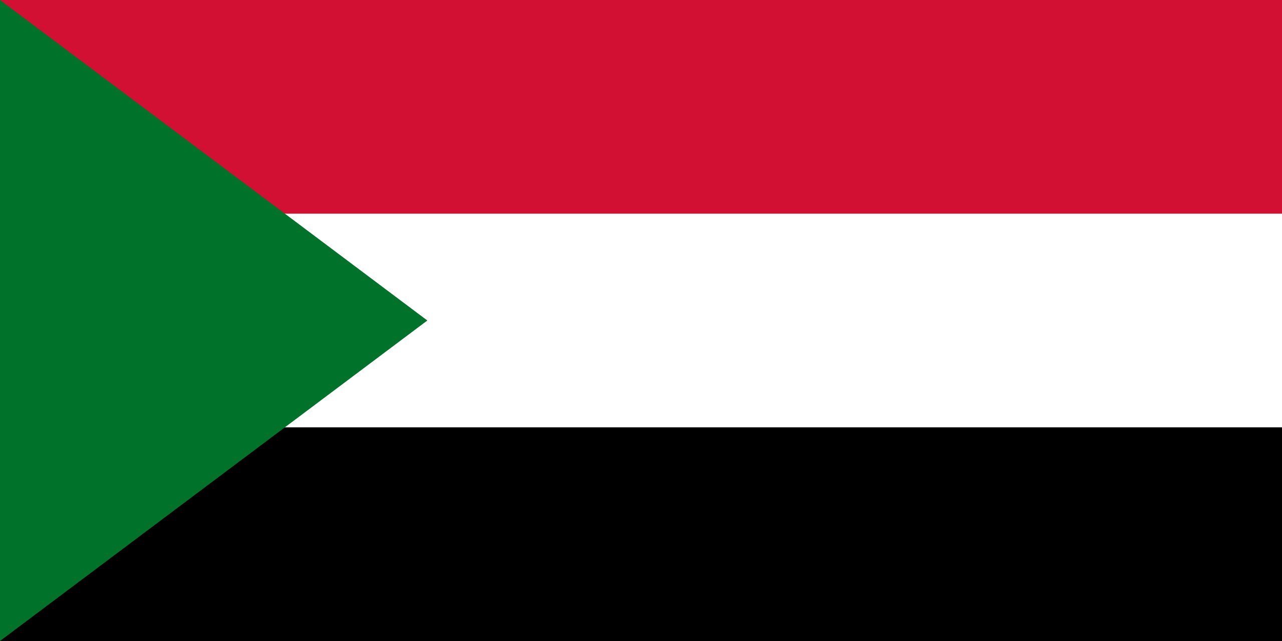 Sudan's military leader calls for UN intervention to lift RSF siege in El Fasher