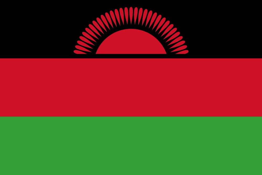Peter Mutharika wins Malawi's presidential election with 56.8% of vote