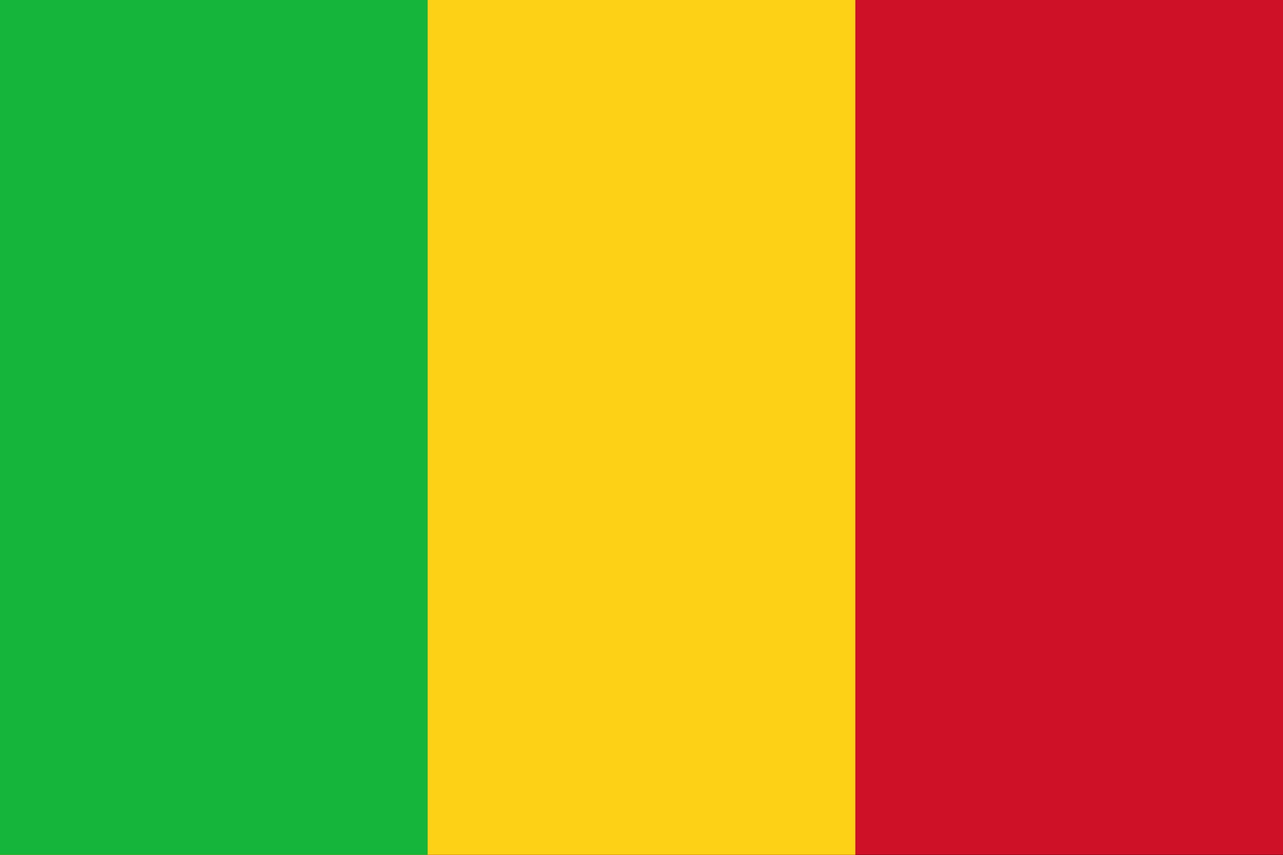 Mali's Secretary-General of the Presidency may have been killed in attack