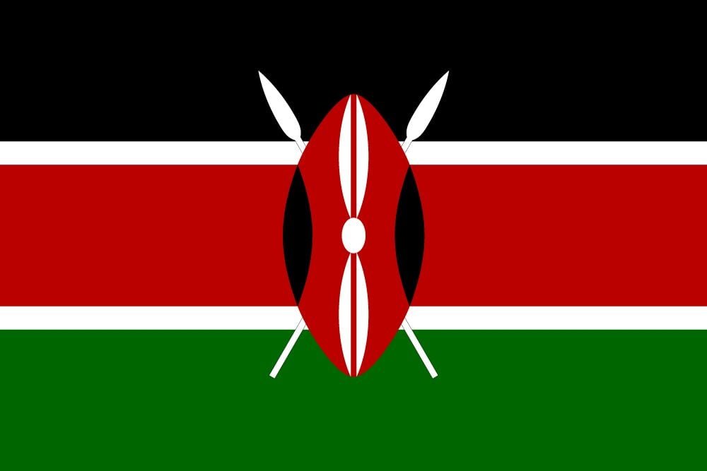 Kenyan authorities rescue 22 men from trafficking network for combat in Ukraine