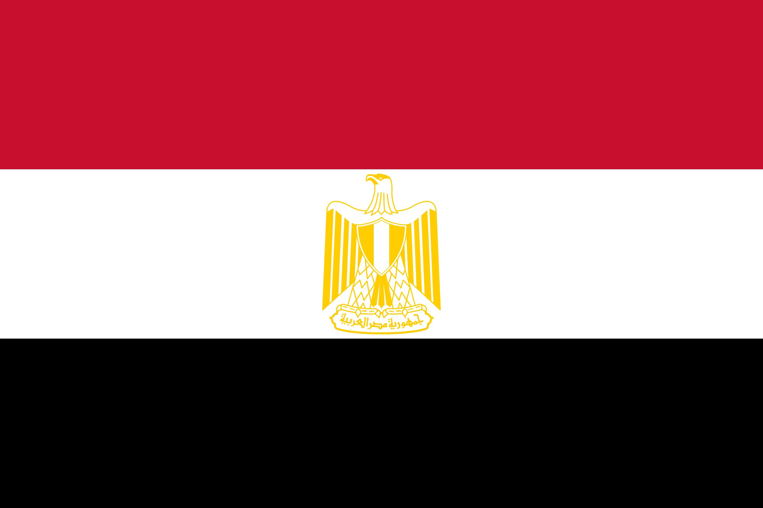 Egypt sees no role for Hamas in the future of Gaza