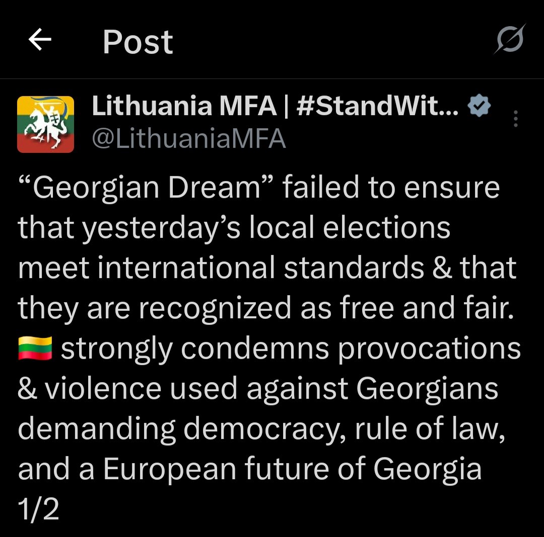 Lithuanian Foreign Ministry condemns Georgia's local elections as unfair