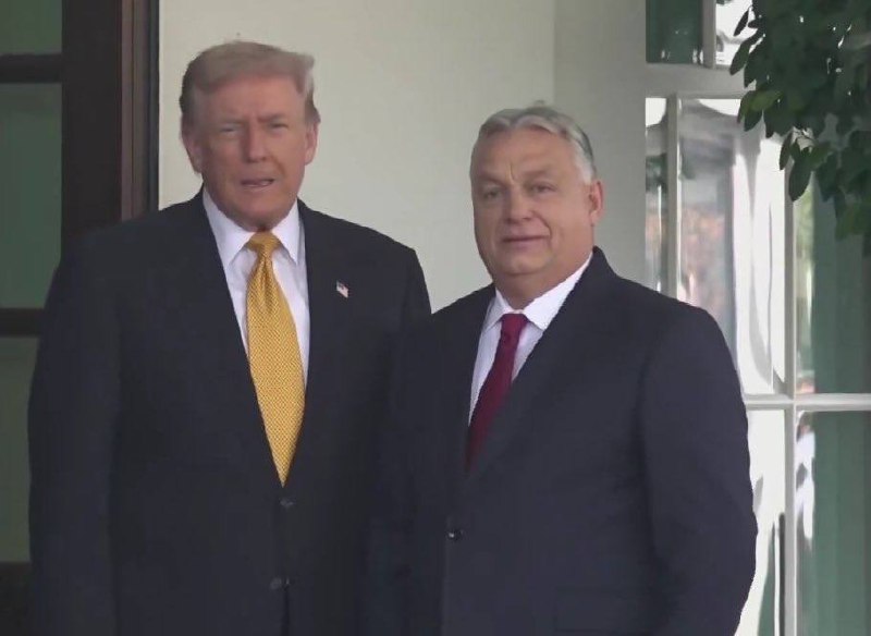 US President Donald Trump meets Hungarian Prime Minister Viktor Orbán