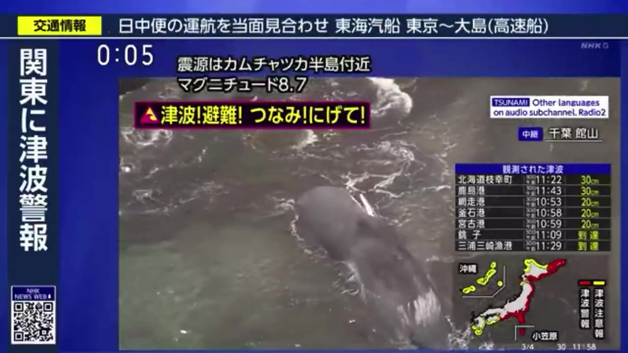[Video] Tragic Whales Wash Ashore in Japan's Chiba Prefecture, Prompting Urgent Investigation