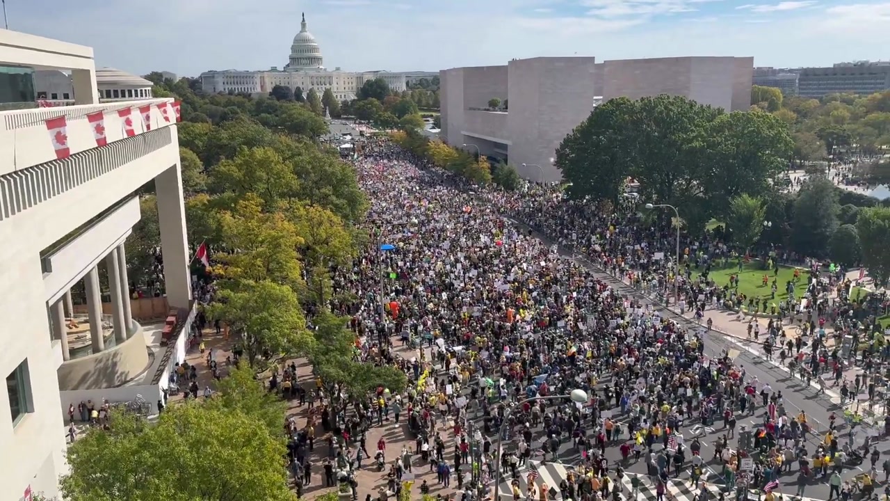[Video] No Kings" protest visuals shared from Washington, D.C.