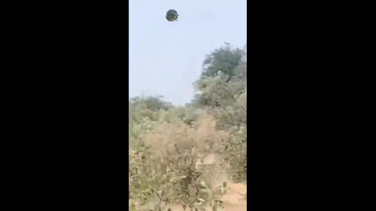 [Video] RSF shoots down Sudanese Il-76 near Babanusa, kills Russian crew