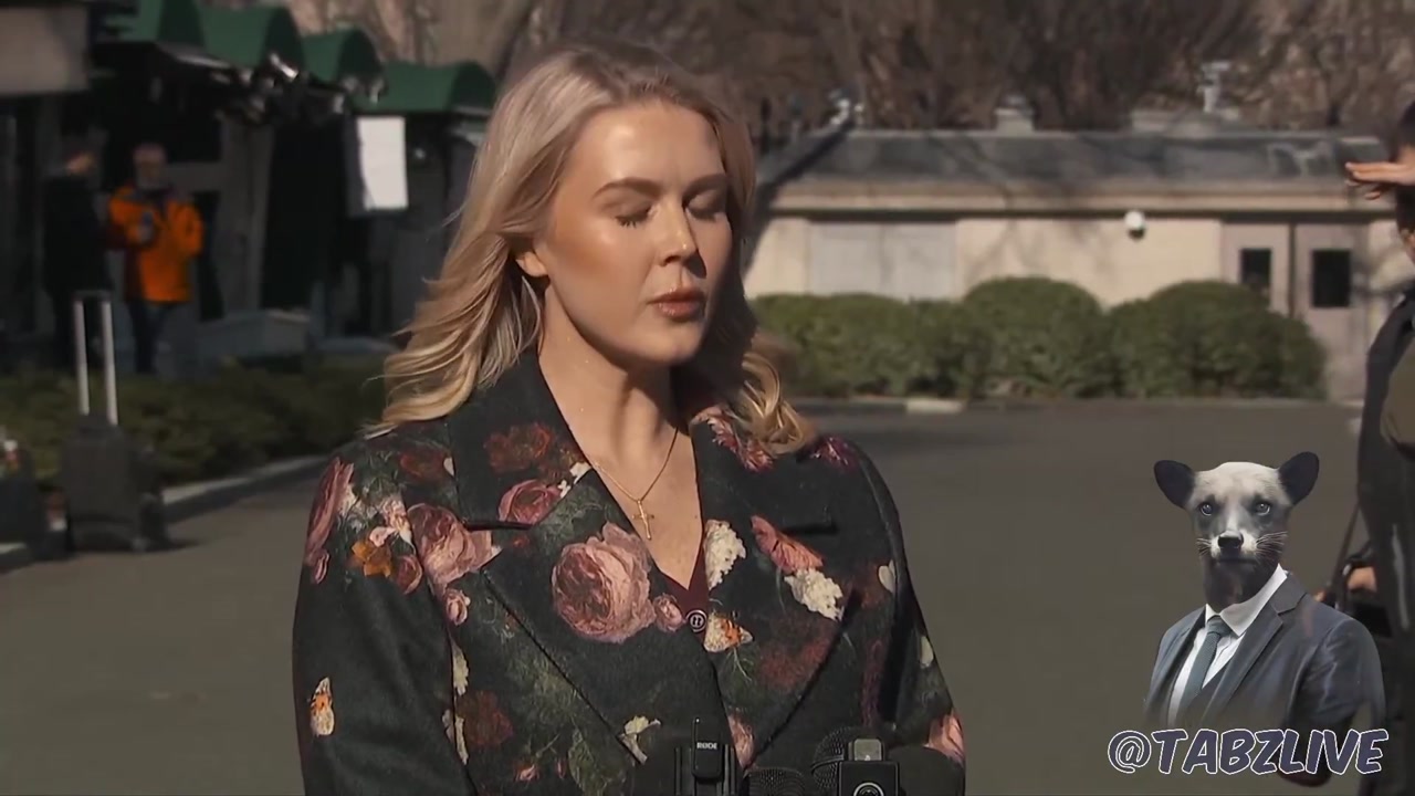 [Video] White House: Airstrikes among options for President Trump